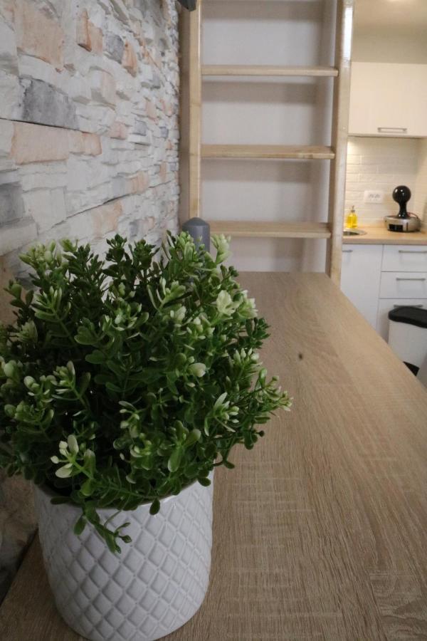 Studio Apartman Chiara 자그레브 외부 사진
